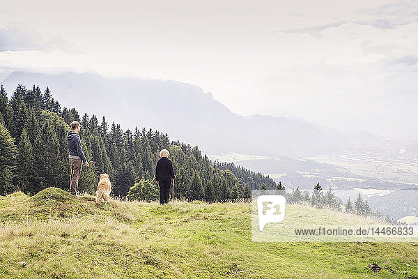 Austria  Tyrol  Kaiser mountains  mother and adult son with dog on a hiking trip in the mountains