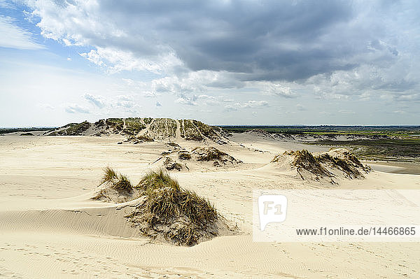 Dänemark Jütland Rabjerg Mile Wanderdüne