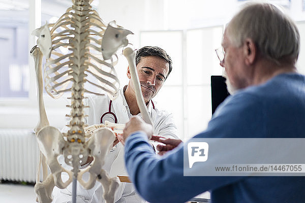 Arzt erklärt dem Patienten Knochen am anatomischen Modell in der medizinischen Praxis