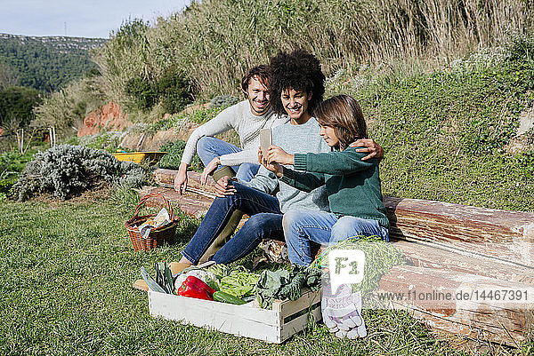 Happy family taking a break after harvesting vegetables  taking selfies