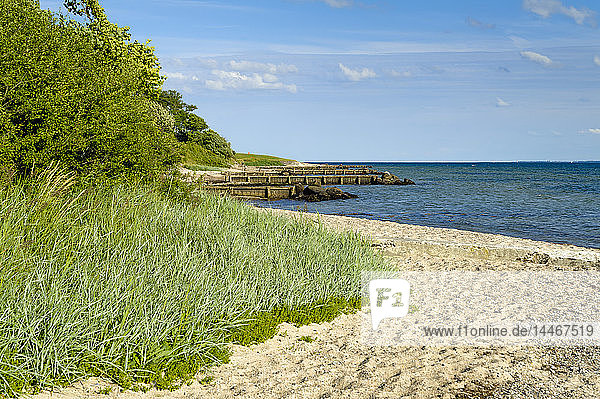 Dänemark Jütland Sonderborg Strand in der Bucht von Sonderborg