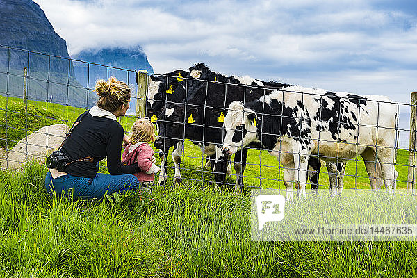 Dänemark  Färöer-Inseln  Vidoy  Mutter und Tochter und Kühe
