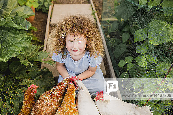 Portrait of little girl feeding chickens in allotment