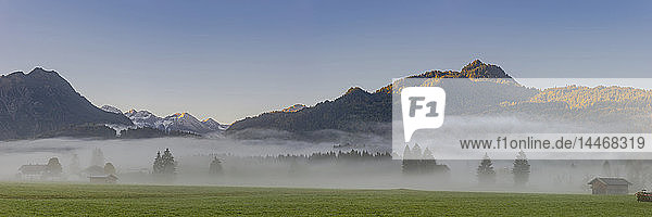 Deutschland  Bayern  Oberallgäu  Loretto-Wiesen bei Oberstdorf mit Morgennebel und Bergen im Hintergrund