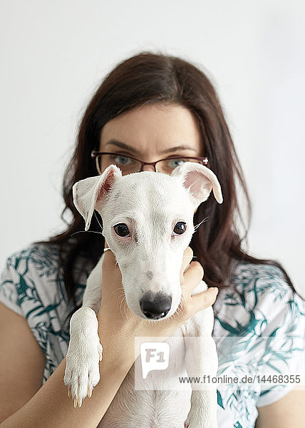 Porträt eines weißen Hundes mit Besitzer im Hintergrund