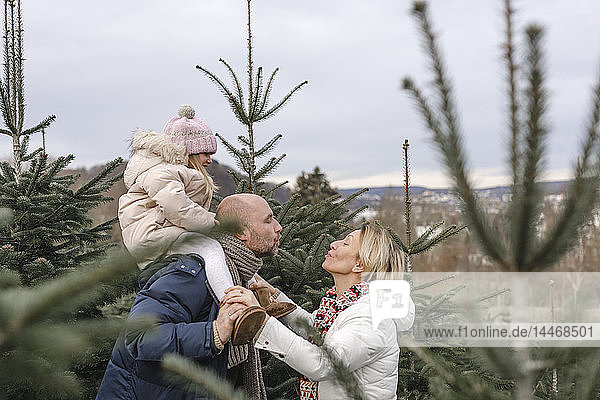 Ehepaar mit Tochter küsst sich auf einer Weihnachtsbaumplantage