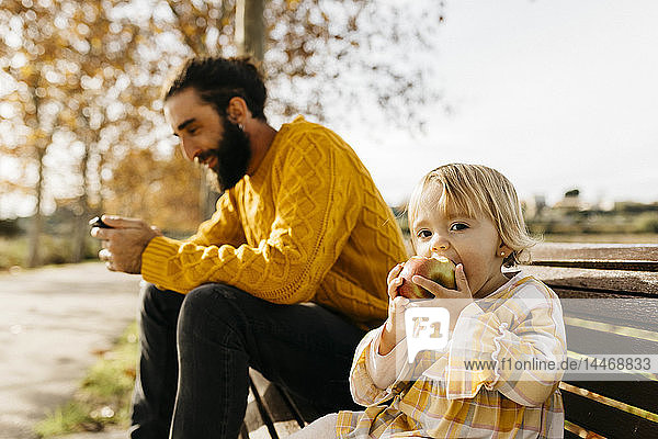 Vater und Tochter sitzen im Herbst auf einer Parkbank  der Vater benutzt ein Smartphone  die Tochter isst einen Apfel