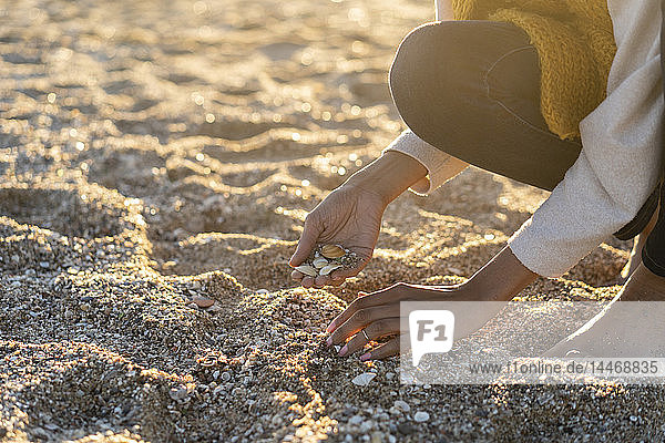 Woman collecting seashells on the beach
