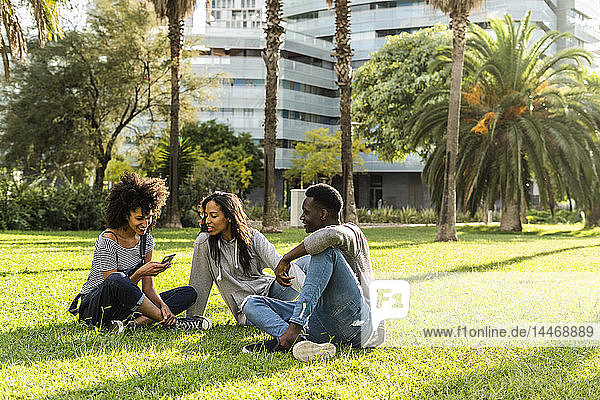 Freunde sitzen auf Rasen  haben Spaß  benutzen Smartphone