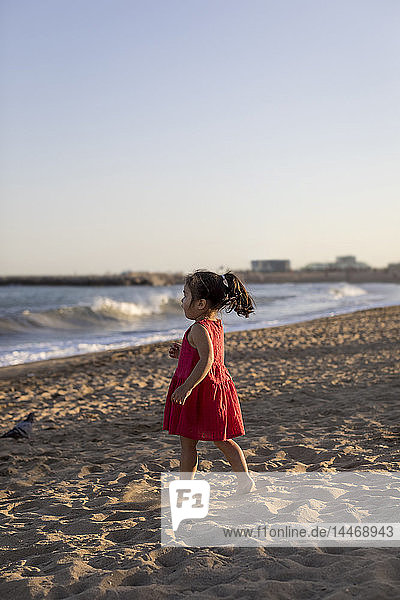 Cute little girl standing on the beach  looking at the sea