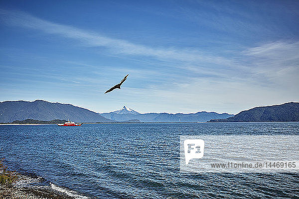 Chile Chaiten Fähre im Fjord an der Carretera Austral