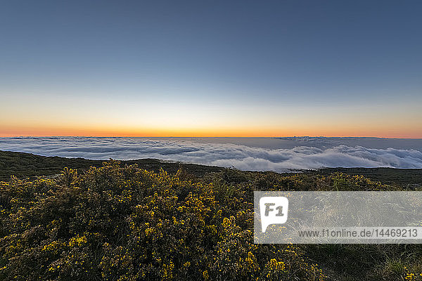 Reunion  Reunion National Park  Maido viewpoint  View from volcano Maido to Cirque de Mafate  sea of clouds and sunset