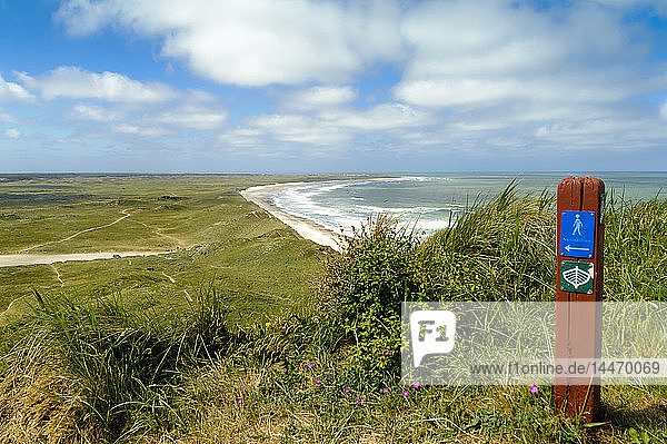 Dänemark Jütland Bulbjerg Dünenlandschaft