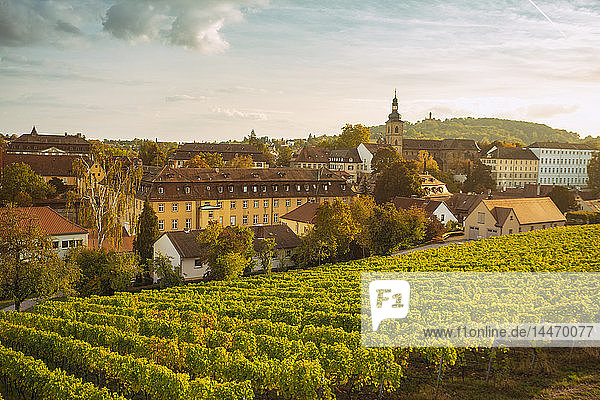 Deutschland Bayern Bamberg Weinberg und Stadtbild