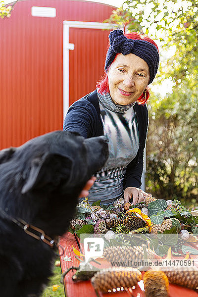 Porträt einer lächelnden älteren Frau mit rot gefärbten Haaren  die beim Streicheln ihres Hundes an der Herbstdekoration bastelt