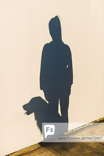 Schatten einer Frau und ihres Hundes an einer weißen Wand