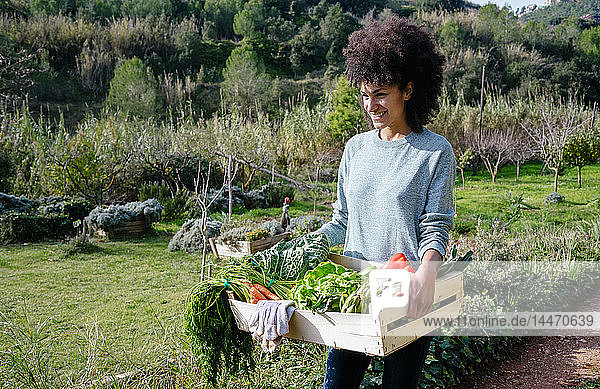 Frau trägt frisches Gemüse aus ihrem Garten