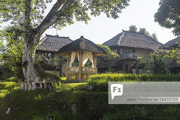 Indonesien  Bali  Ubud  Reisfelder im Urlaubsort Kamandalu Ubud