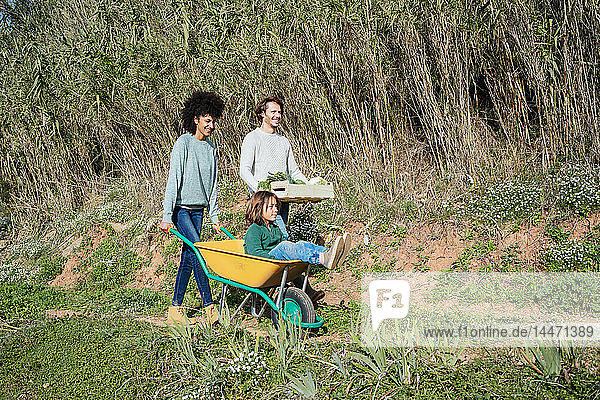 Familie geht auf einem Feldweg  schiebt Schubkarre  trägt Kiste mit Gemüse