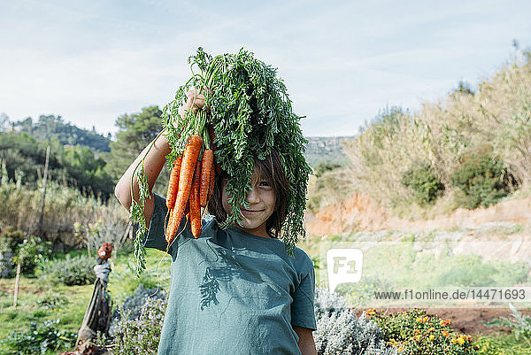 Junge steht im Gemüsegarten und hält einen Strauss Karotten