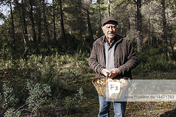 Porträt eines lächelnden älteren Mannes mit einem Korb voller Pilze im Wald