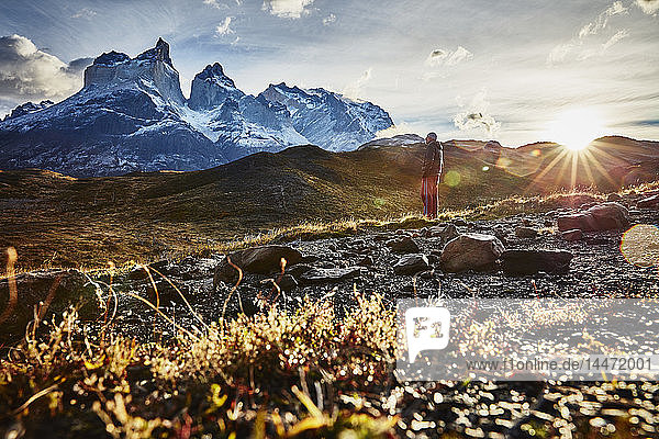 Chile  Torres del Paine Nationalpark  Mann steht bei Sonnenaufgang vor dem Torres del Paine Massiv