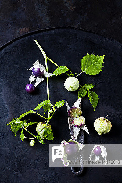 In Scheiben geschnittene und ganze Tomatenillos und ein Messer auf dunklem Hintergrund