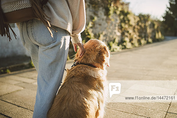 Frau mit ihrem Golden-Retriever-Hund auf einem Pfad