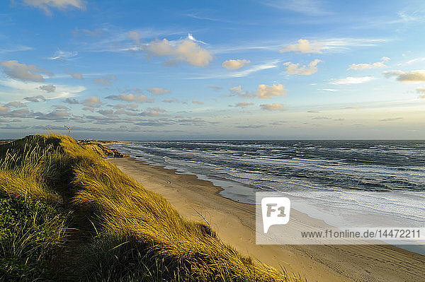 Dänemark Jütland Lokken Dünenlandschaft und Nordsee