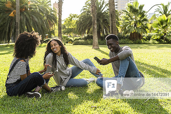 Friends sitting on grass  having fun  using smartphone