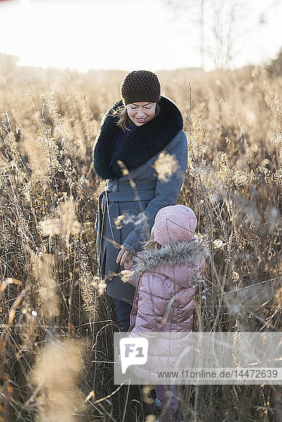 Kleines Mädchen steht Hand in Hand mit seiner Mutter auf der Herbstwiese zur goldenen Stunde