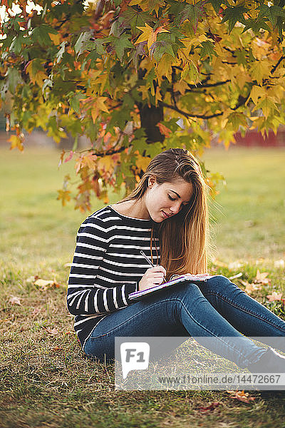 Young woman with notebook sitting on meadow in a park in autumn taking notes