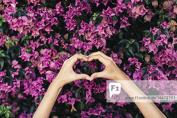 Frauenhände formen Herz vor rosa Blüten