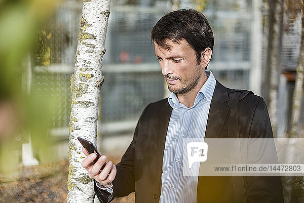 Porträt eines Geschäftsmannes unter Bäumen  mit Smartphone
