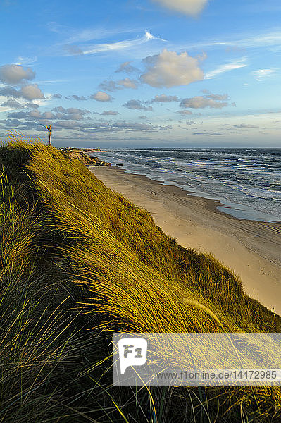 Dänemark Jütland Lokken Dünenlandschaft und Nordsee