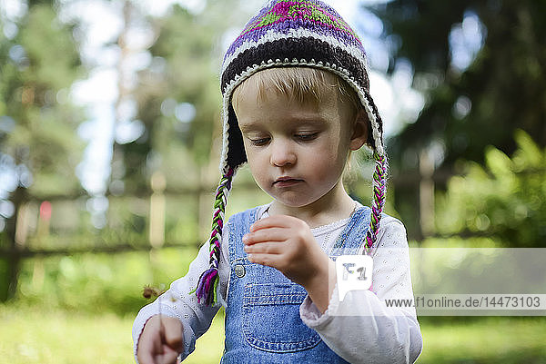 Porträt eines kleinen Mädchens mit Strickmütze  das etwas in der Hand hält