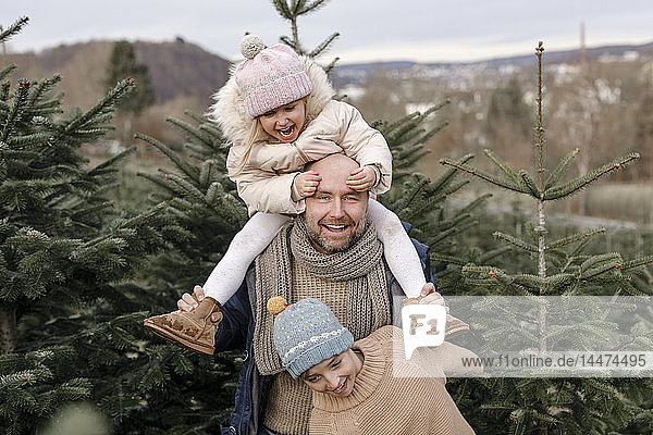 Porträt eines glücklichen Vaters mit zwei Kindern auf einer Weihnachtsbaumplantage