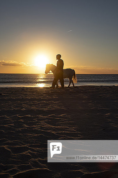 Spanien  Tarifa  Mann geht mit Pony am Strand bei Sonnenuntergang