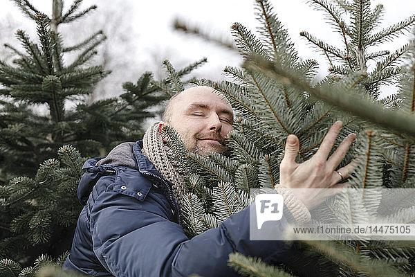 Lächelnder Mann umarmt Weihnachtsbaum auf einer Plantage