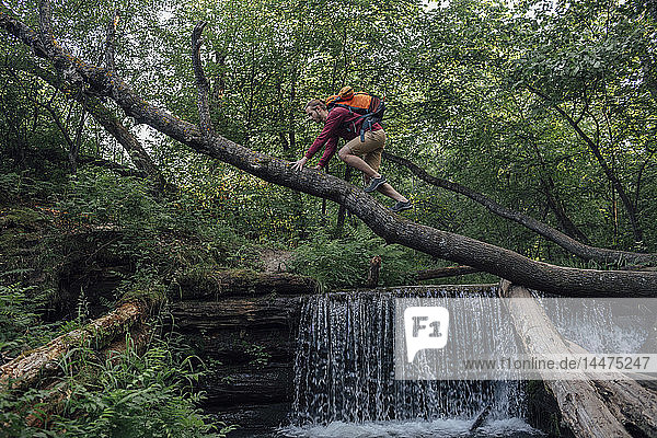 Junger Wanderer mit Rucksack überquert Wasser auf Baumstamm im Wald