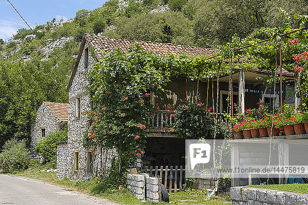 Montenegro  Ponari bei Podgorica  Wohnhaus mit Blumendekor