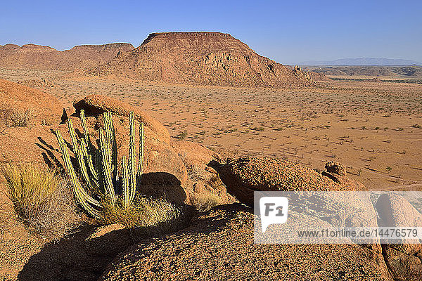 Afrika  Namibia  Kunene-Provinz  Namib-Wüste  Damaraland  Twyvelfontein  Aba Huab-Tal  Granitlandschaft