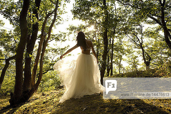 Rear view of young woman in forest wearing tulle skirt