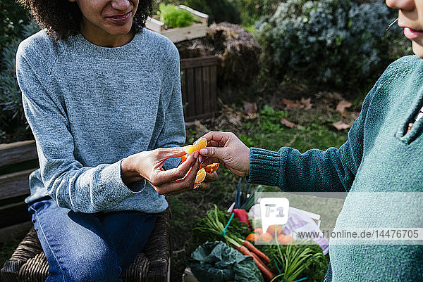 Mother sharing a tangerine with her son  taking a break in a vegetable garden