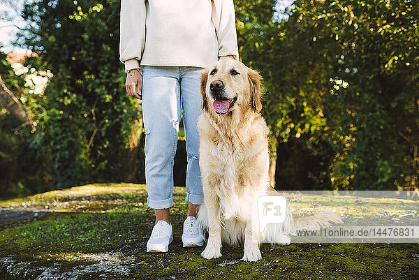 Frau neben Golden-Retriever-Hund auf einer Wiese sitzend
