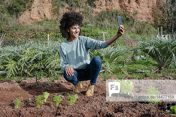 Frau nimmt sich beim Pflanzen von Salatsetzlingen in einem Gemüsegarten