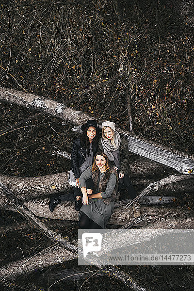 Gruppenbild von drei Freunden  die auf Totholz in herbstlicher Natur sitzen  Luftaufnahme