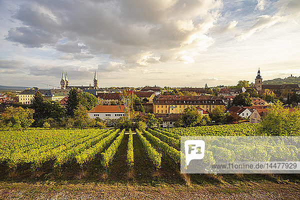 Deutschland Bayern Bamberg Weinberg und Stadtbild