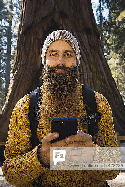 USA  California  Yosemite National Park  Mariposa  portrait of bearded man with cell phone at sequoia tree