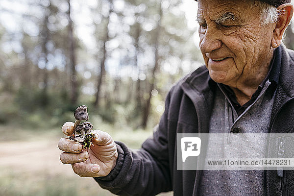 Lächelnder älterer Mann mit gefundenen Pilzen